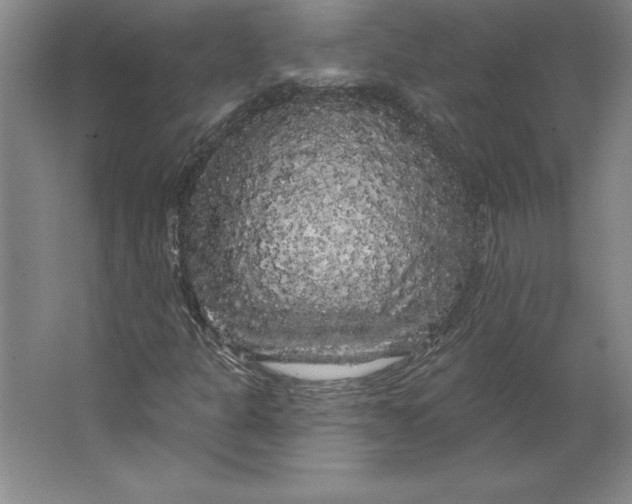 X0000062141301200512301517