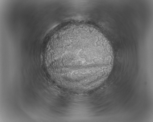 X0000062141302200512301517