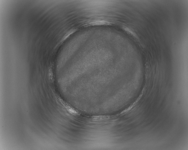 X0000062141305200512301517