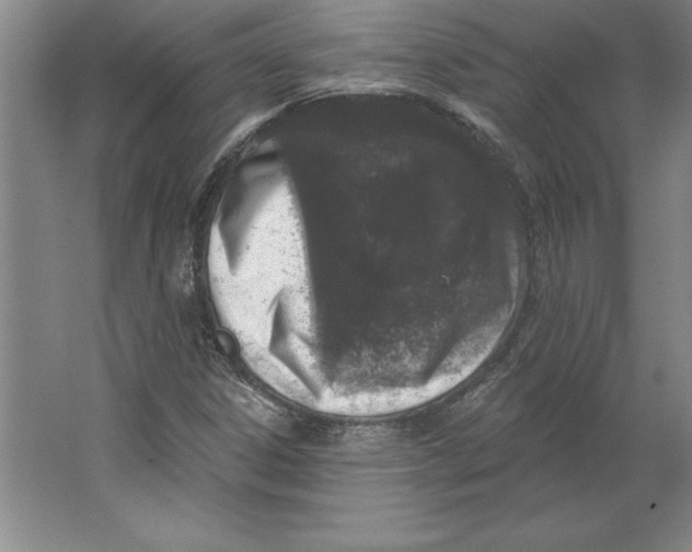 X0000062141306200512301517