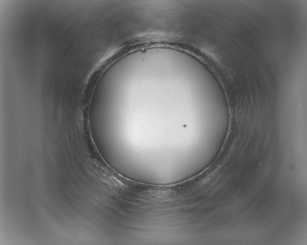 X0000062141309200512301517