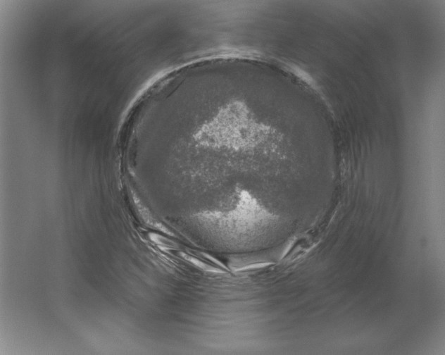 X0000062141310200512301517