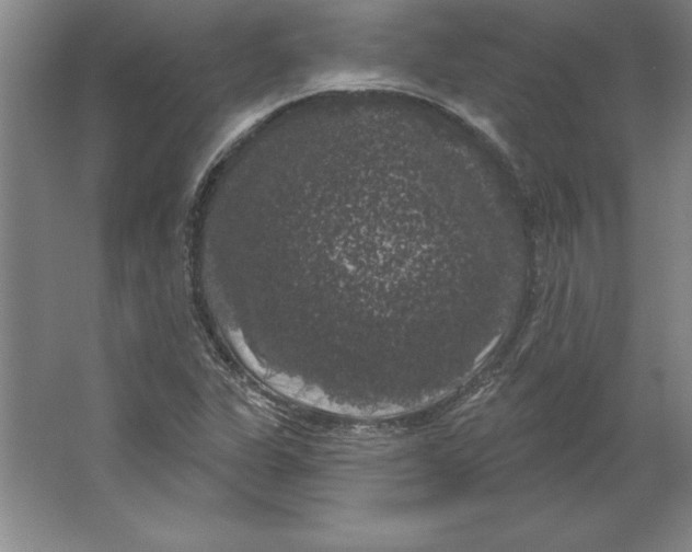 X0000062141311200512301517