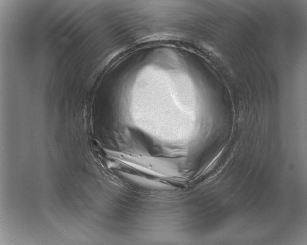 X0000062141313200512301517