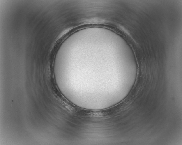 X0000062141315200512301517