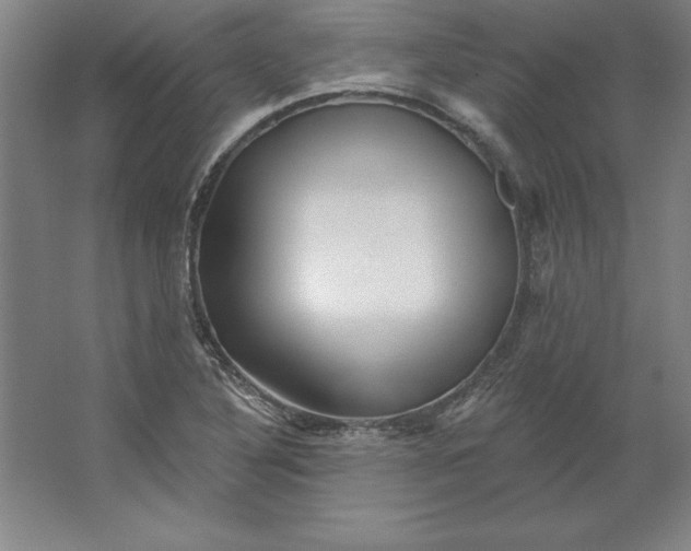 X0000062141316200512301517