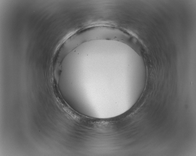 X0000062141317200512301517