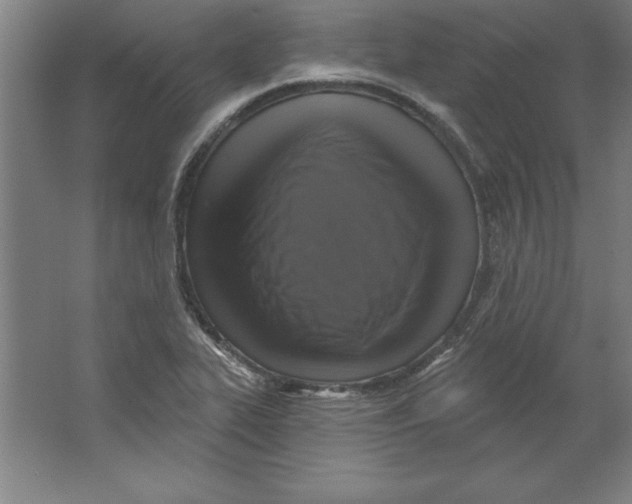 X0000062141319200512301517