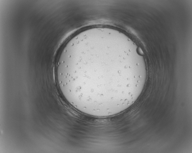 X0000062141320200512301517