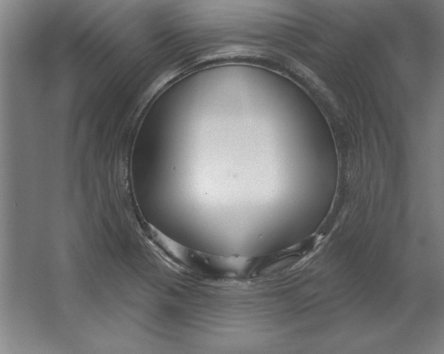 X0000062141321200512301517