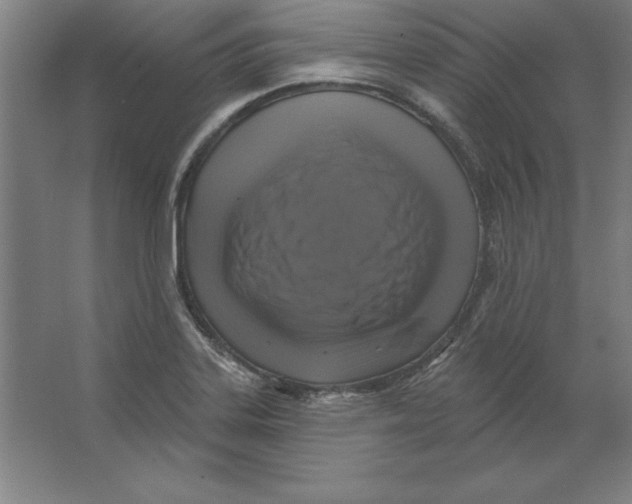 X0000062141323200512301517