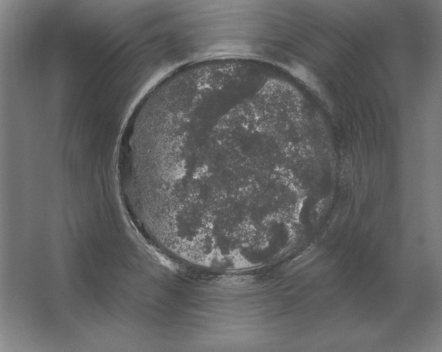 X0000062141325200512301517