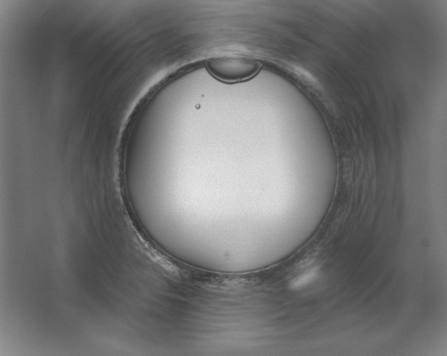 X0000062141326200512301517