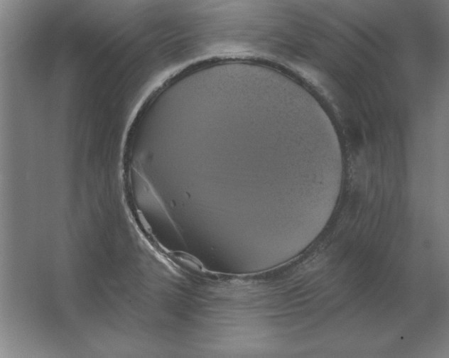 X0000062141327200512301517