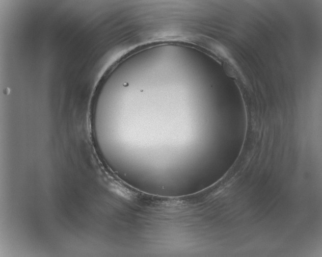 X0000062141328200512301517