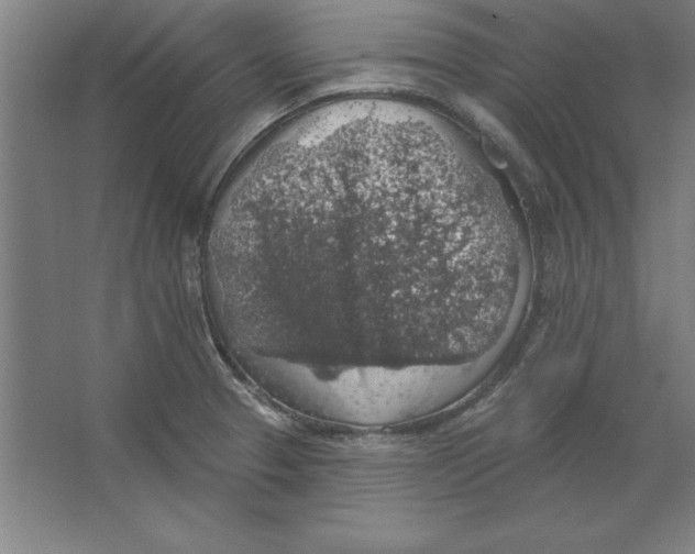 X0000062141329200512301517