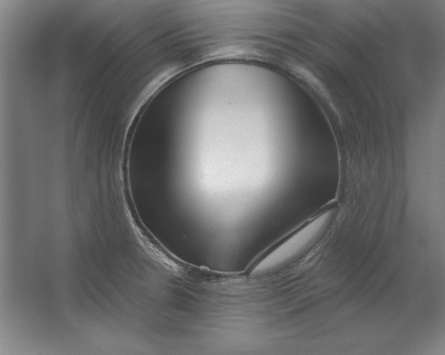 X0000062141330200512301517