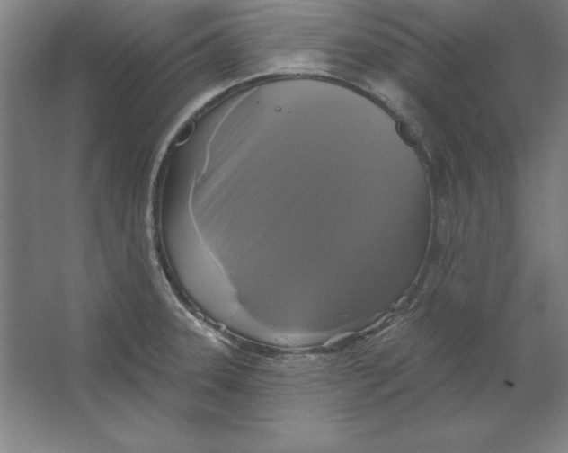 X0000062141331200512301517