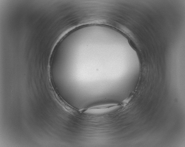 X0000062141332200512301517