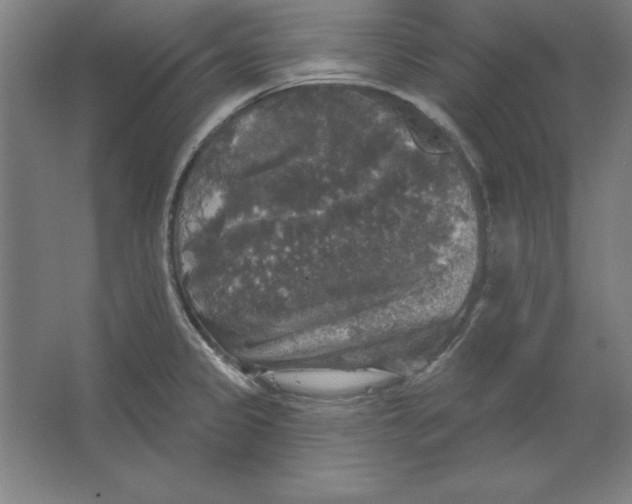 X0000062141333200512301517