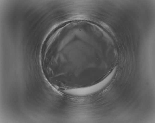 X0000062141334200512301517