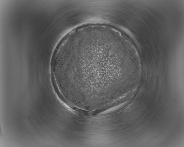 X0000062141335200512301517