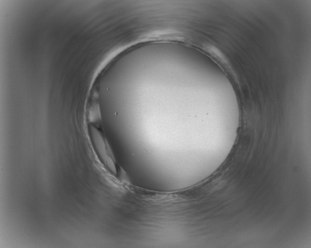 X0000062141336200512301517