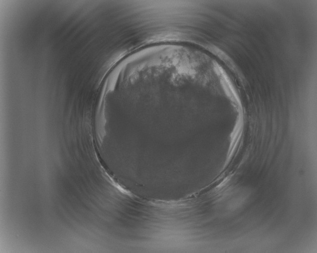 X0000062141337200512301517