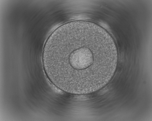 X0000062141338200512301517