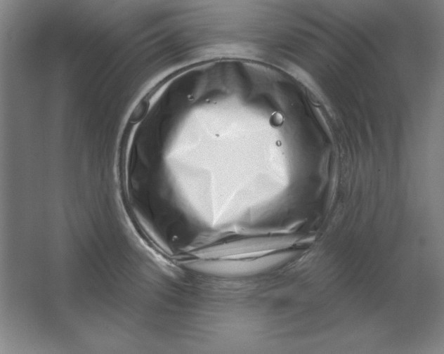 X0000062141339200512301517