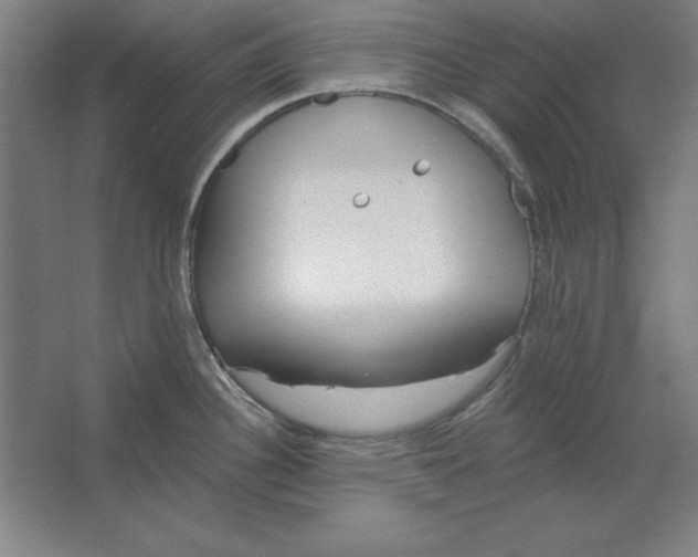 X0000062141340200512301517