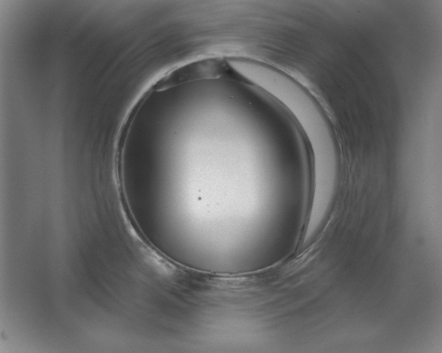 X0000062141342200512301517