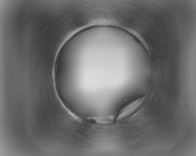 X0000062141343200512301517