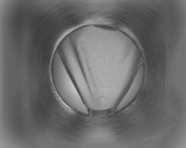 X0000062141344200512301517