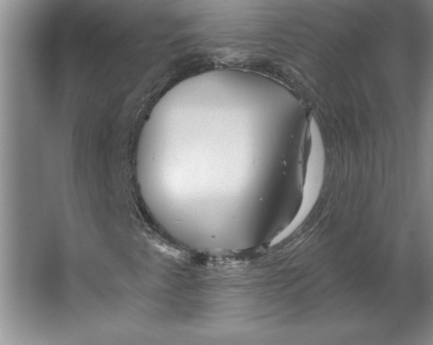 X0000062141345200512301517