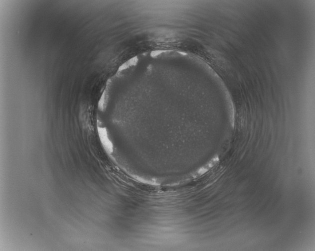 X0000062141346200512301517