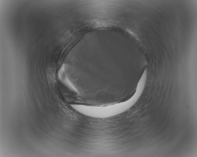 X0000062141348200512301517