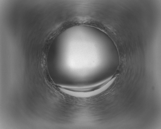 X0000062141349200512301516