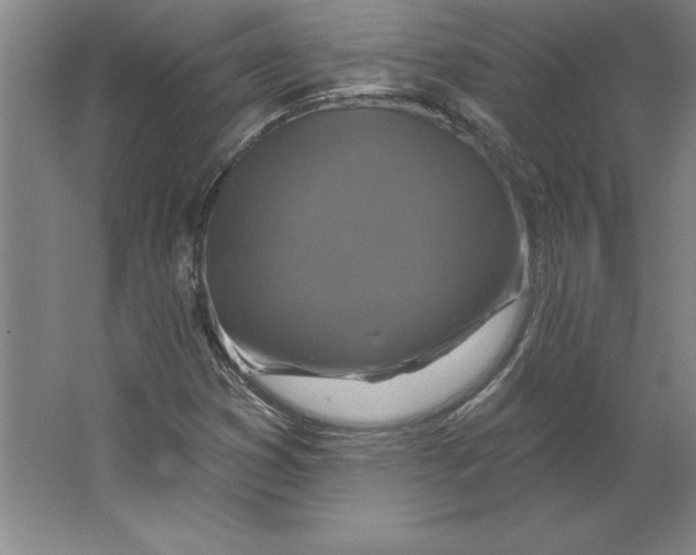 X0000062141353200512301516