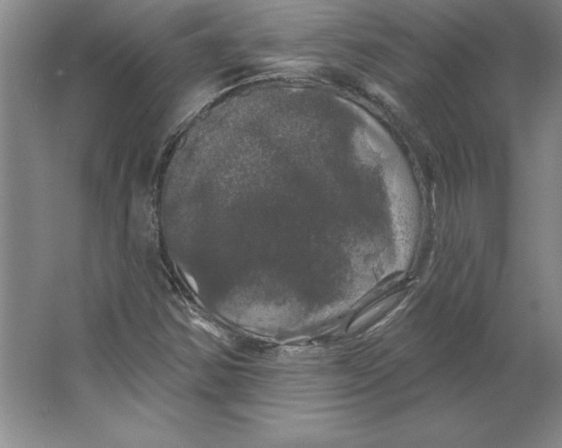 X0000062141354200512301516