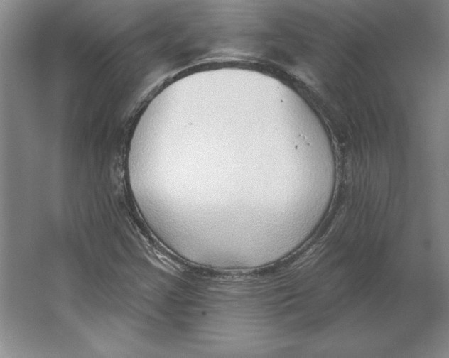 X0000062141355200512301516