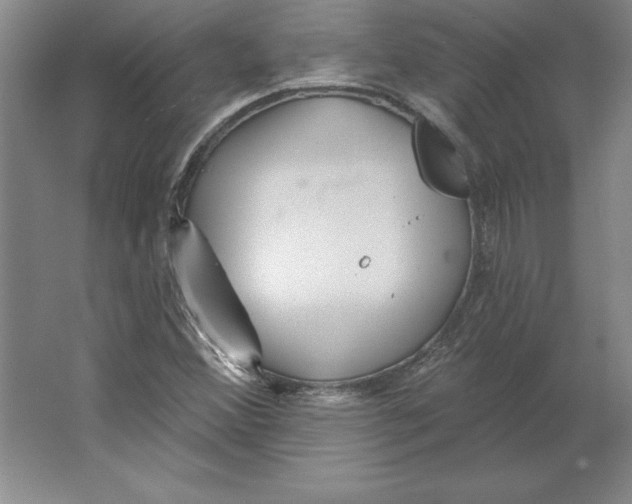 X0000062141356200512301516