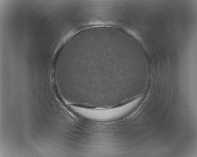 X0000062141357200512301516