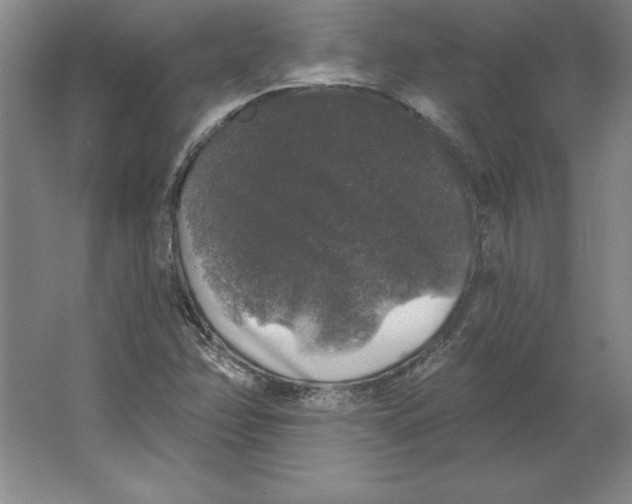 X0000062141358200512301516