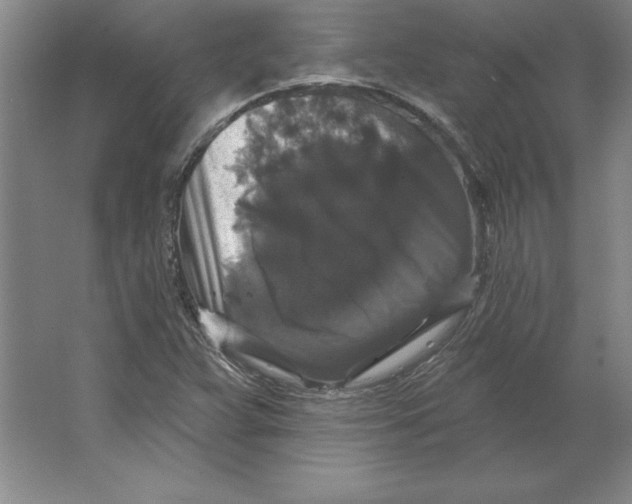 X0000062141359200512301516