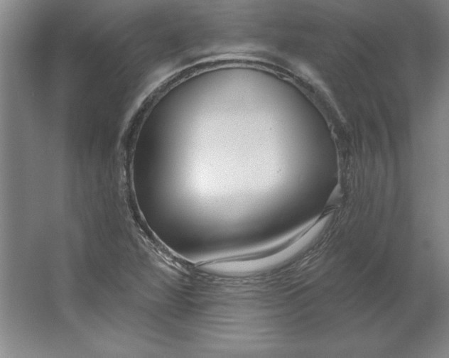 X0000062141360200512301516