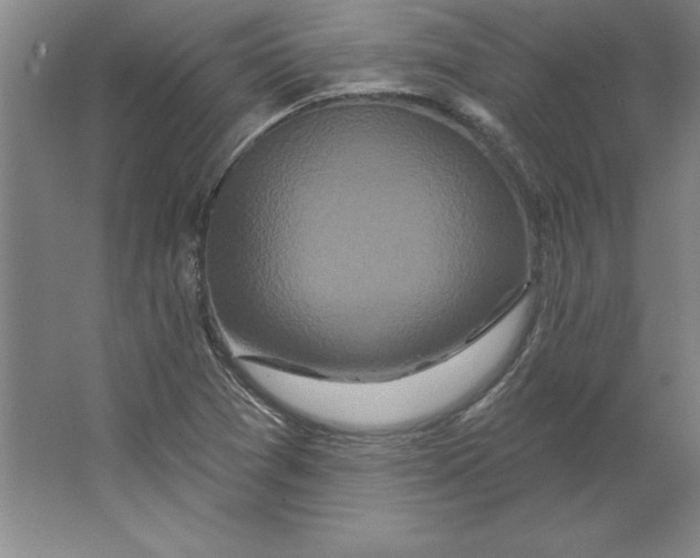 X0000062141361200512301516