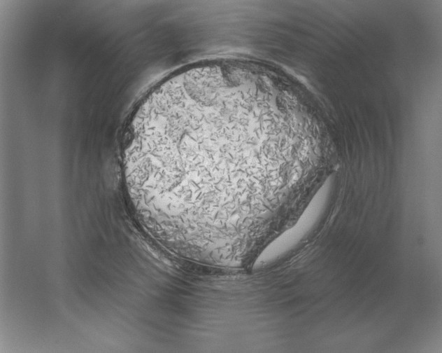 X0000062141363200512301516