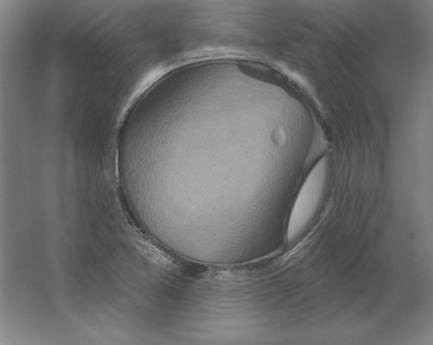 X0000062141365200512301516