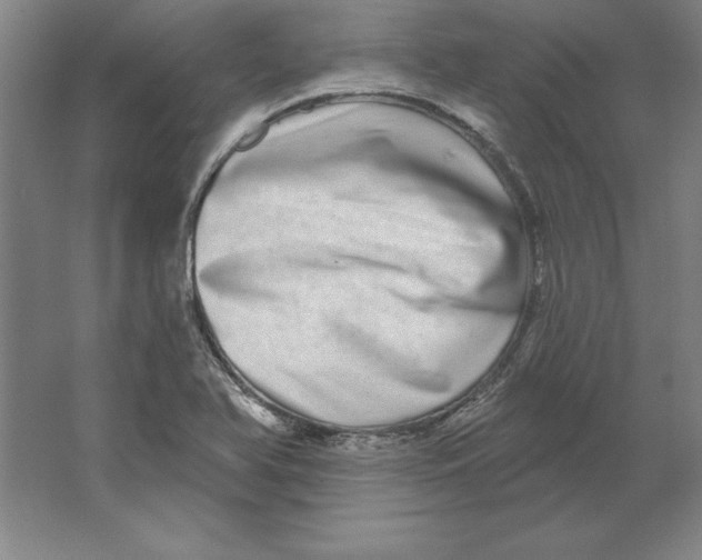 X0000062141366200512301516